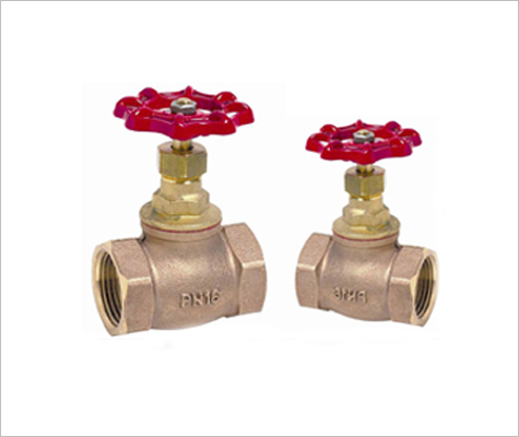 Bronze Parallel Slide Blow Down Valve