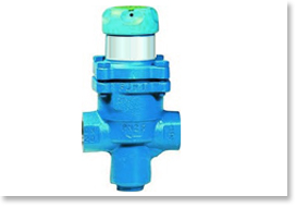 Bellow Type Reducing Valve