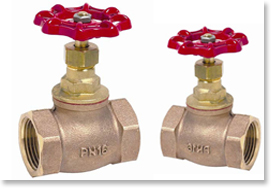 Bronze Globe Valve