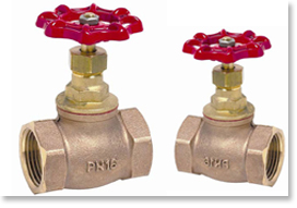 Bronze Parallel Slide Blow Down Valve