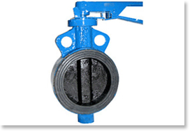 C.I. Butterfly Valve