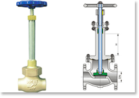 Cryogenic Globe Valve