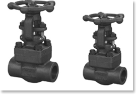 Forged Steel Valve