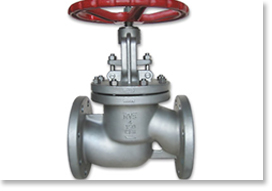 Globe Valve