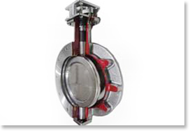 Spherical Disc Valve