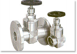 S. S. Bar Stock Gate Valve