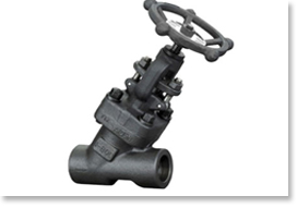 Y Type Bellow Sealed Globe Valve